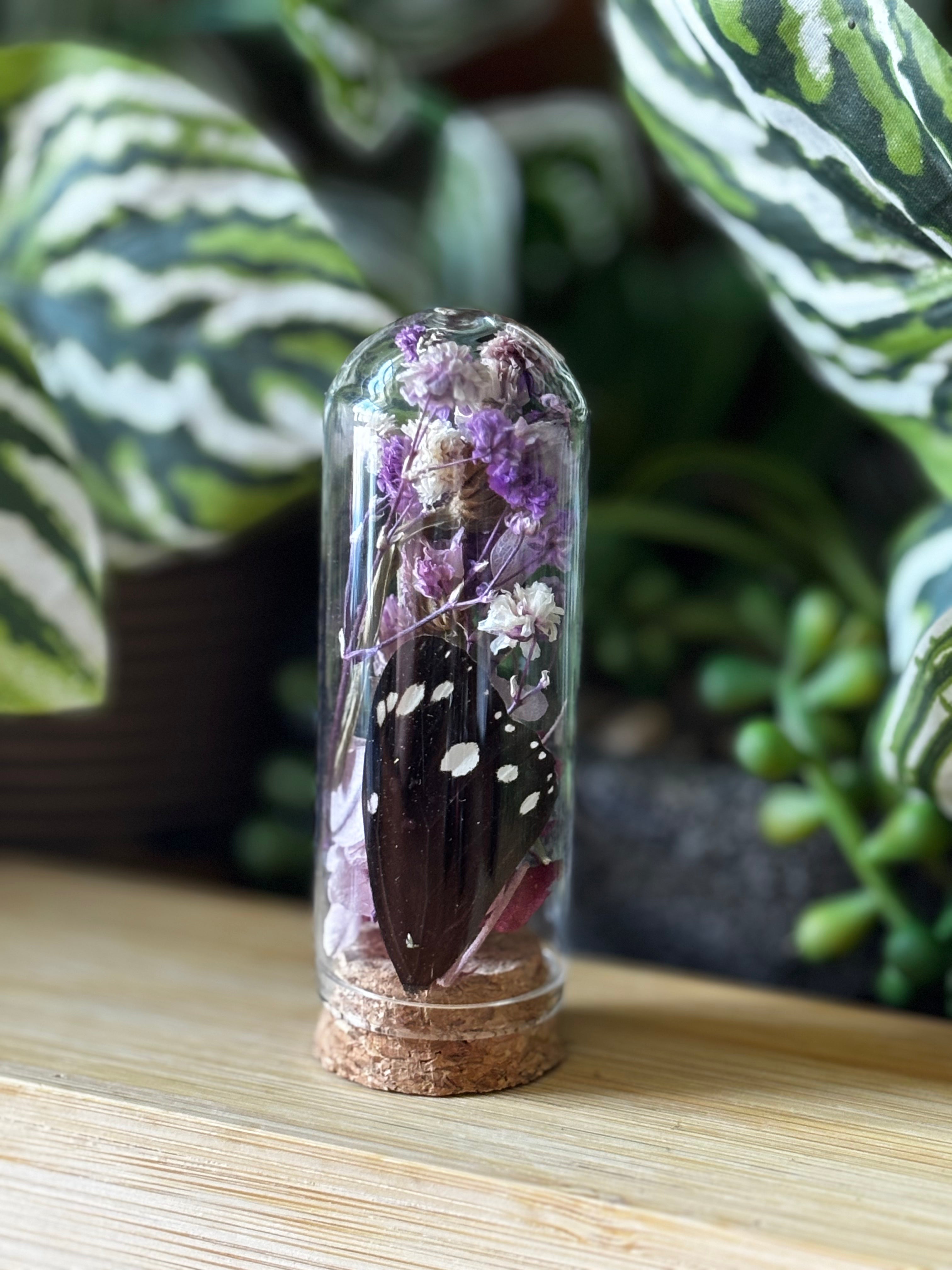 Purple Flower & Butterfly Curio Dome