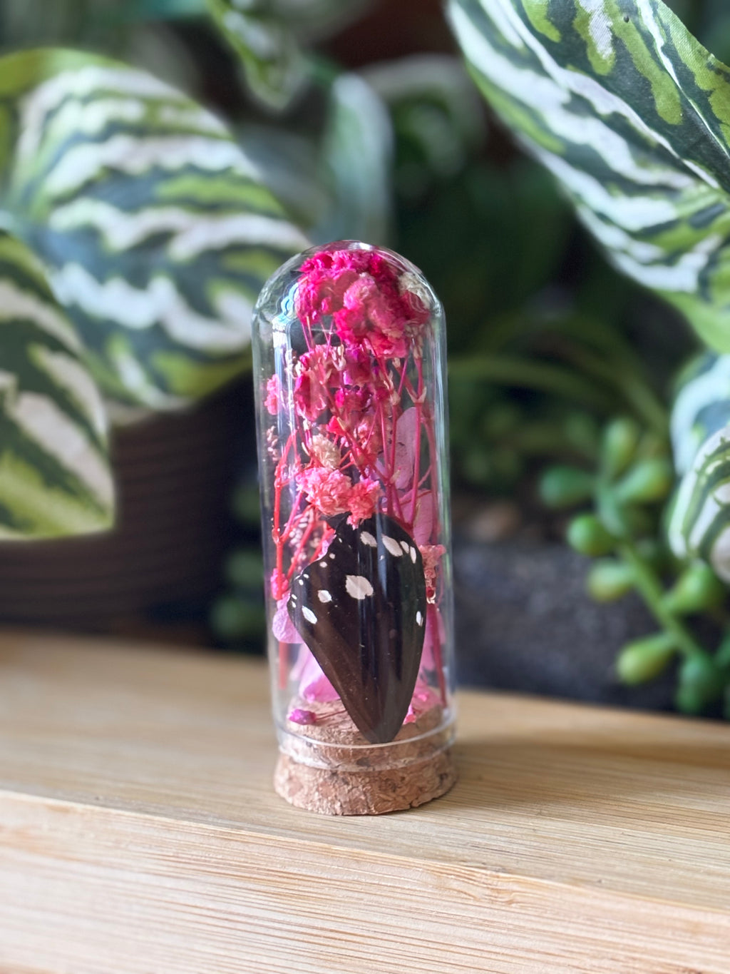 Pink Flowers & Butterfly Curio Dome