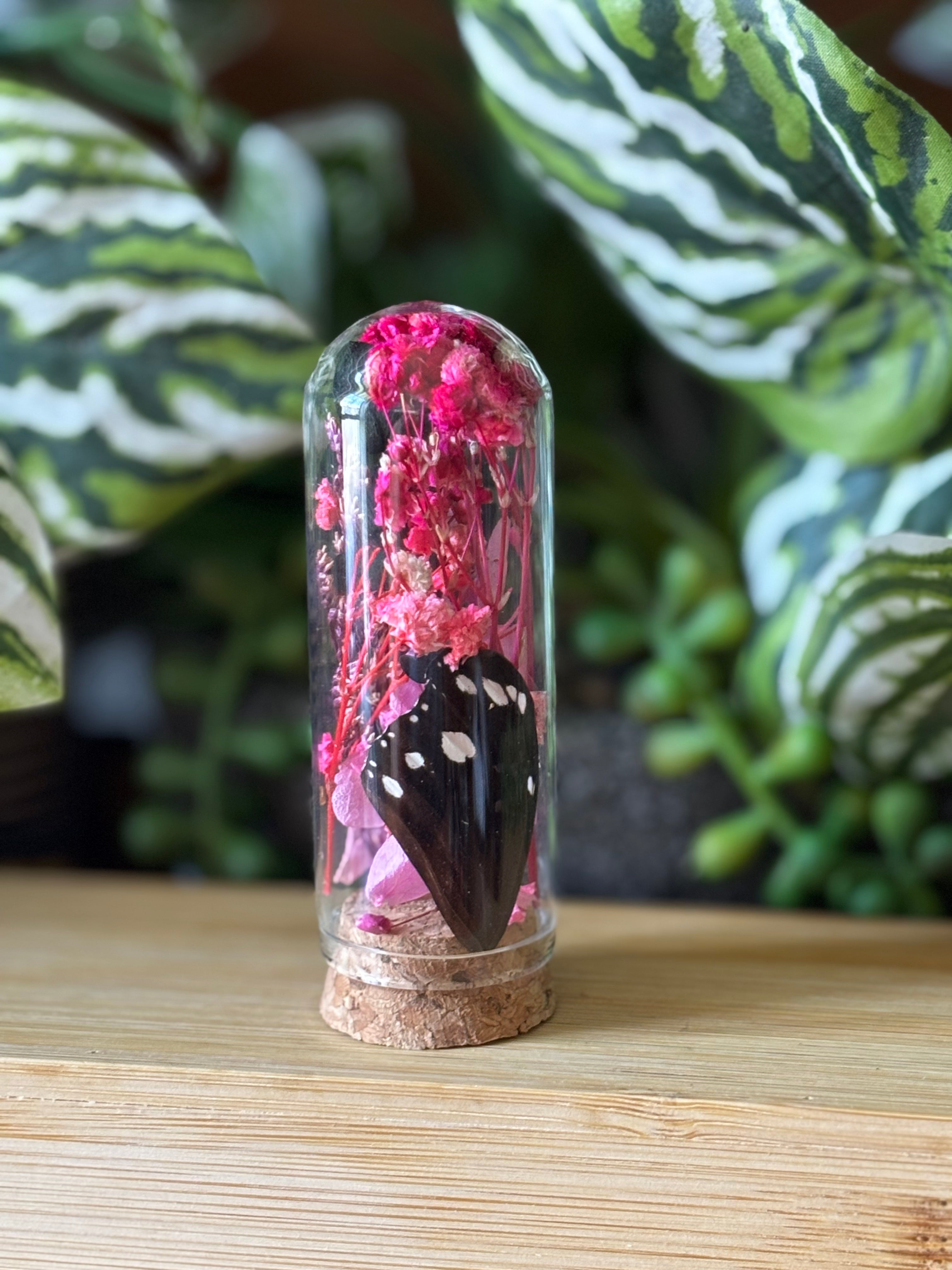 Pink Flowers & Butterfly Curio Dome