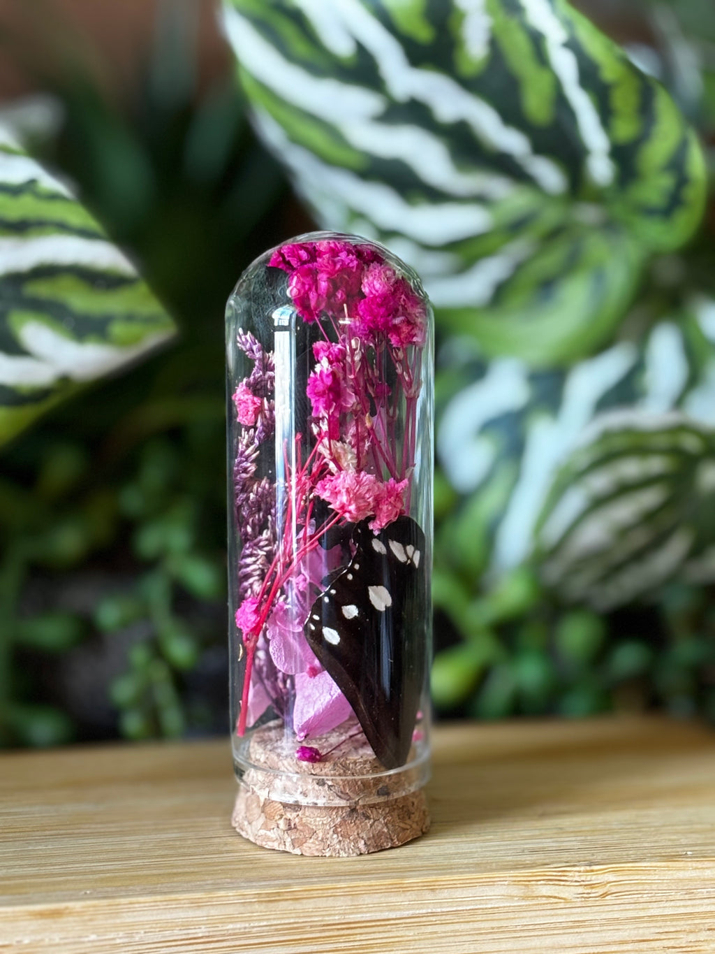 Pink Flowers & Butterfly Curio Dome