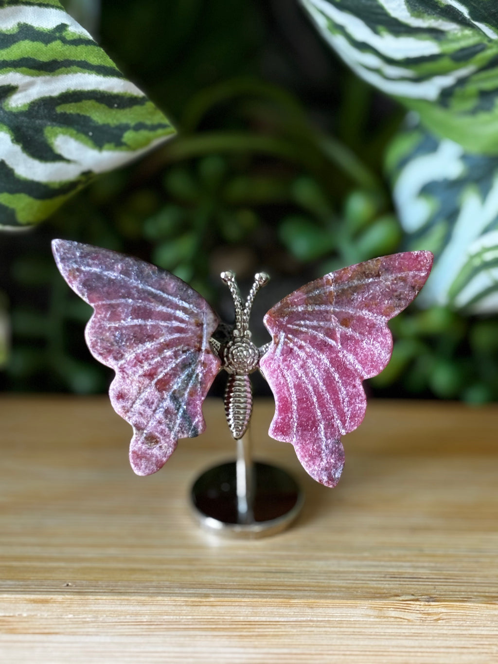 Rhodonite Butterfly