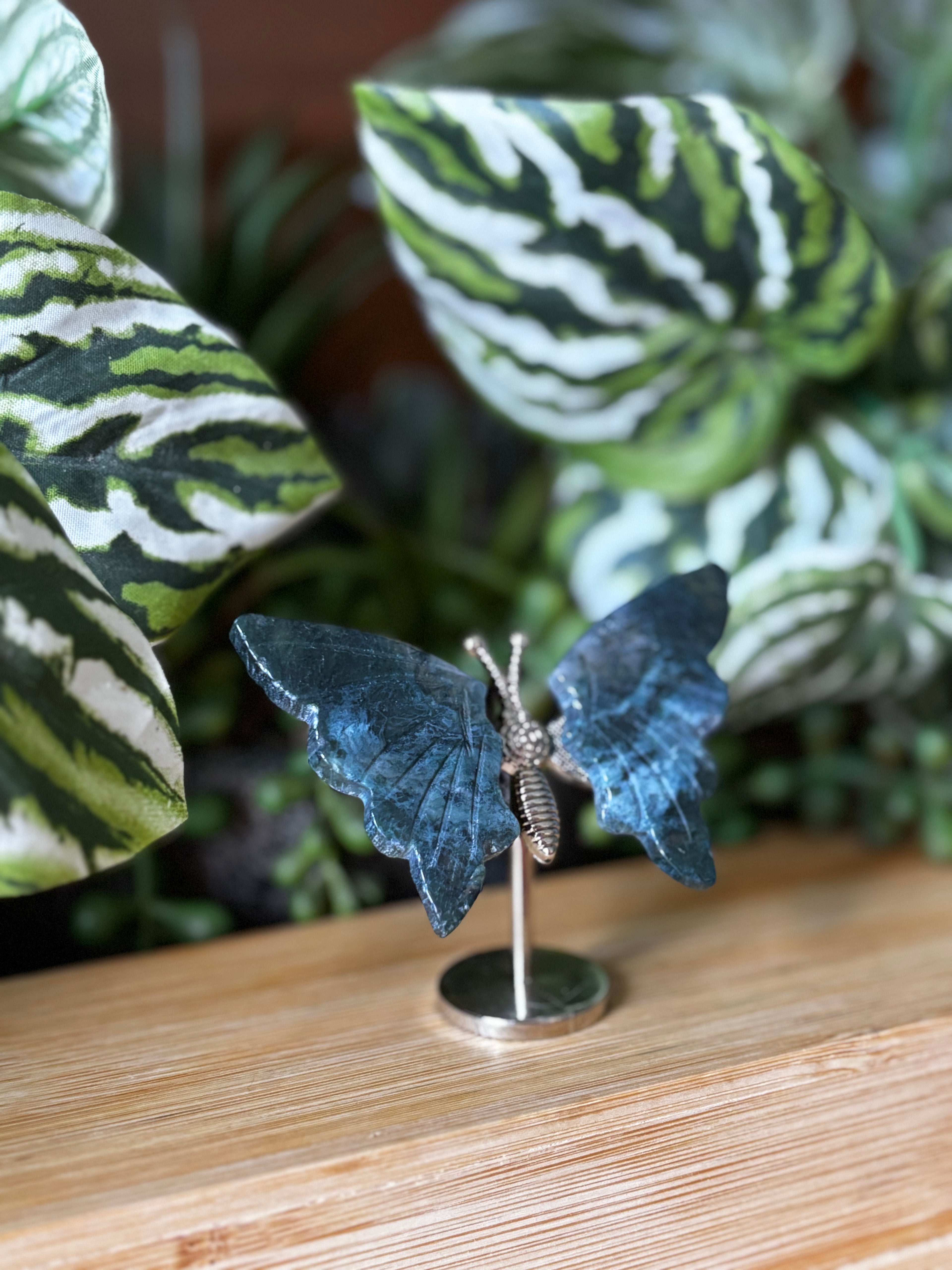 Moss Agate Butterfly 3