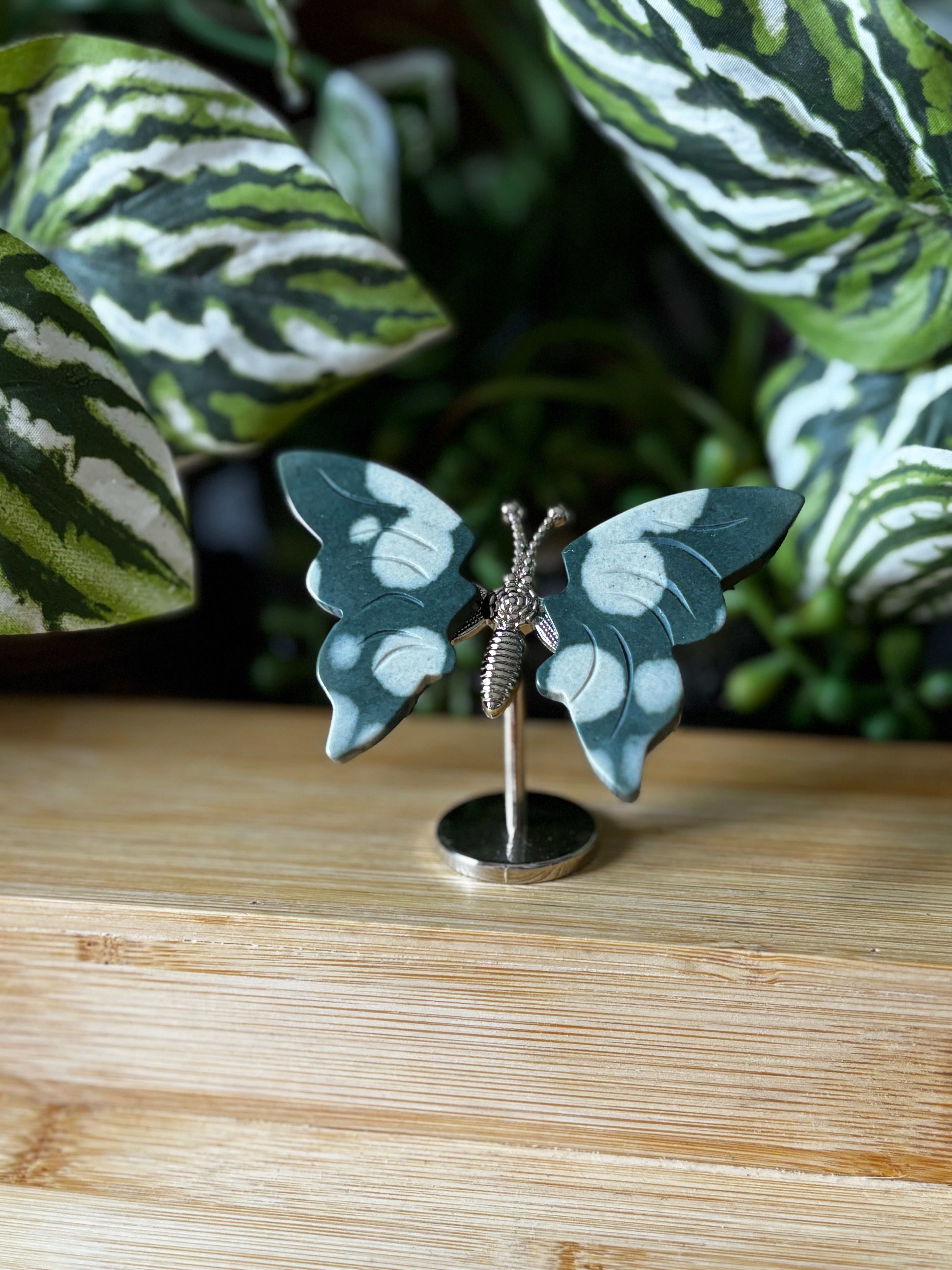 Ocean Jasper Butterfly