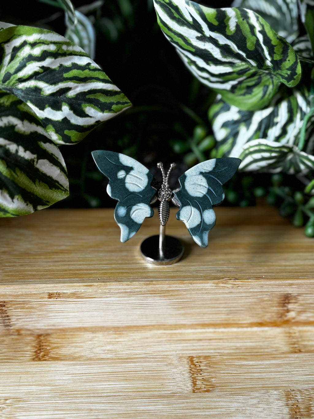 Ocean Jasper Butterfly