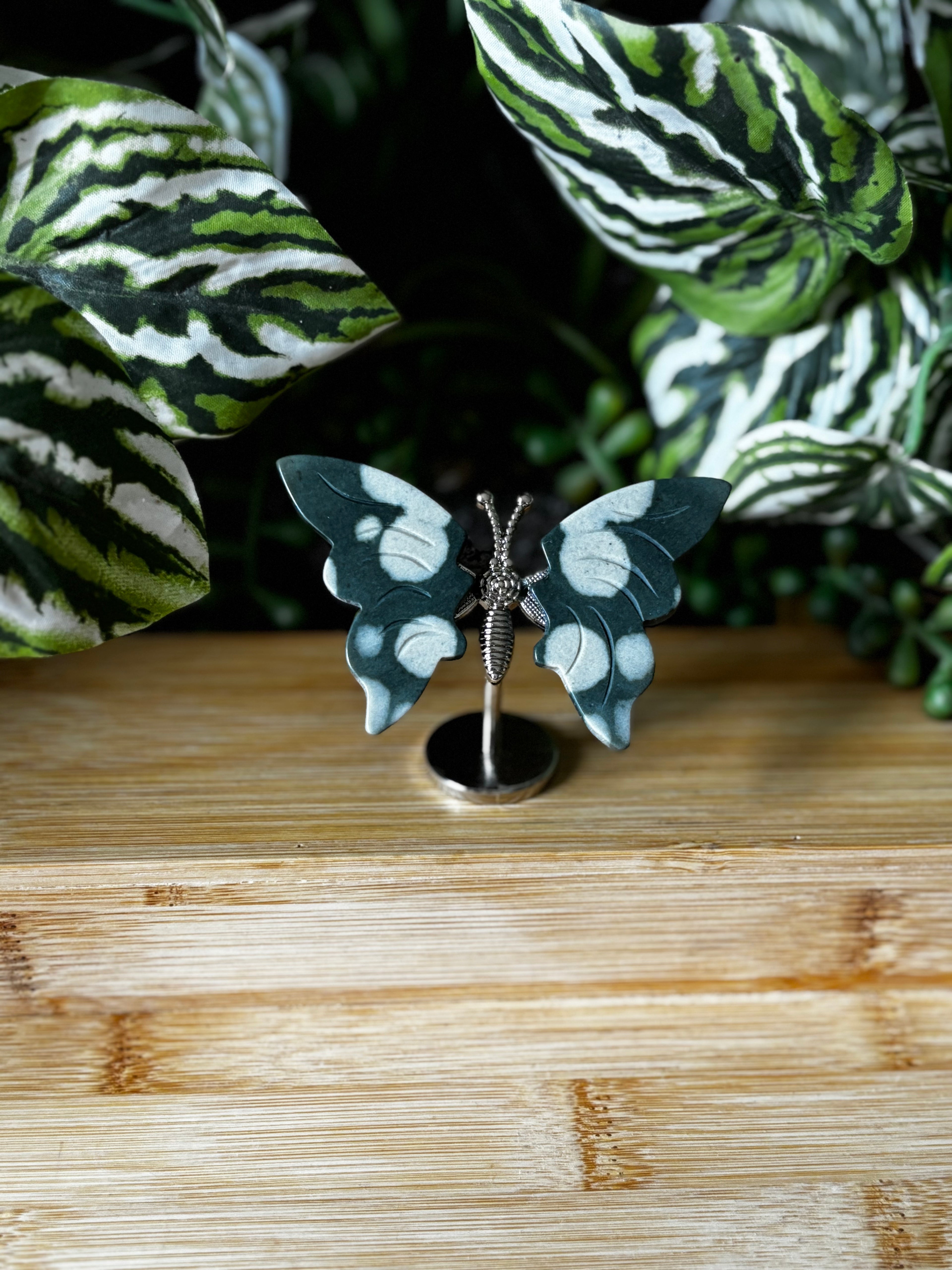 Ocean Jasper Butterfly