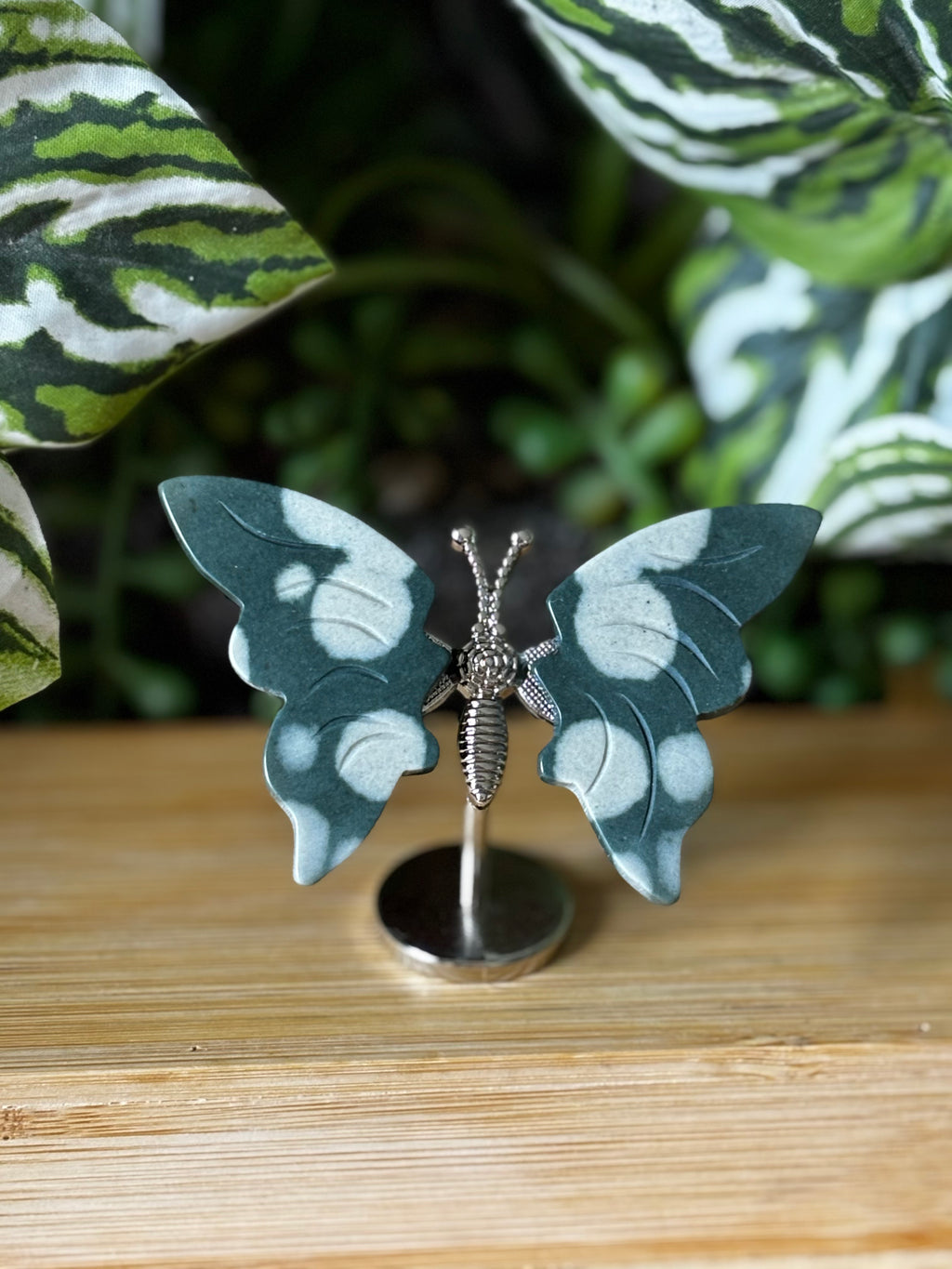 Ocean Jasper Butterfly