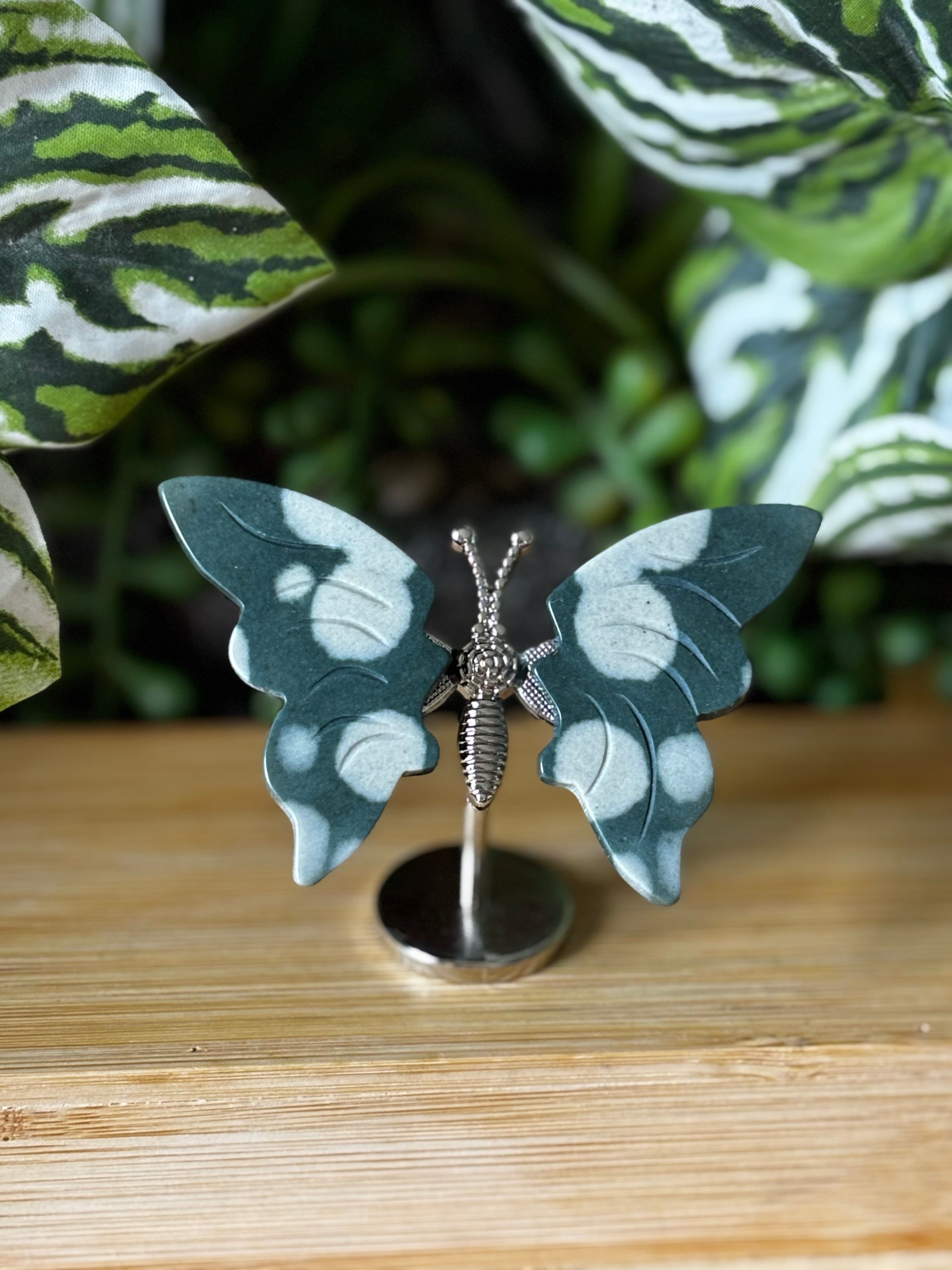 Ocean Jasper Butterfly