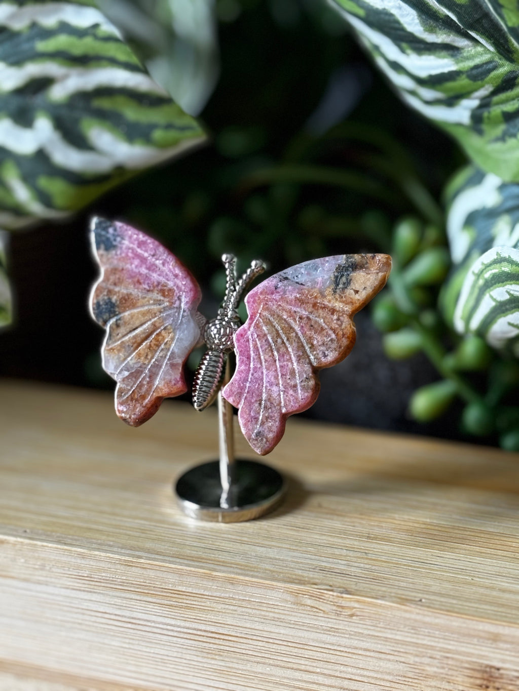 Rhodonite Butterfly 2