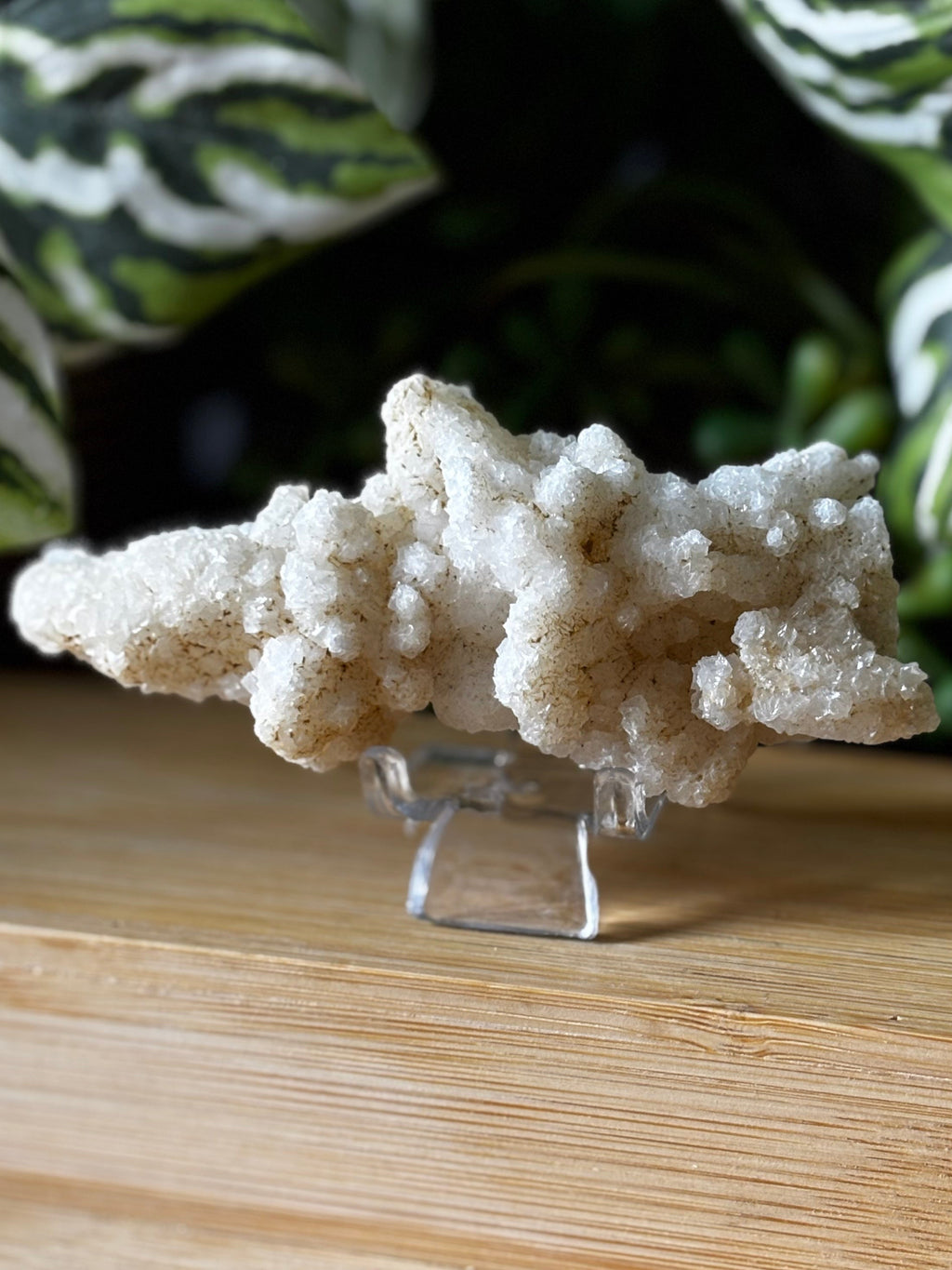 Stalactite Specimen