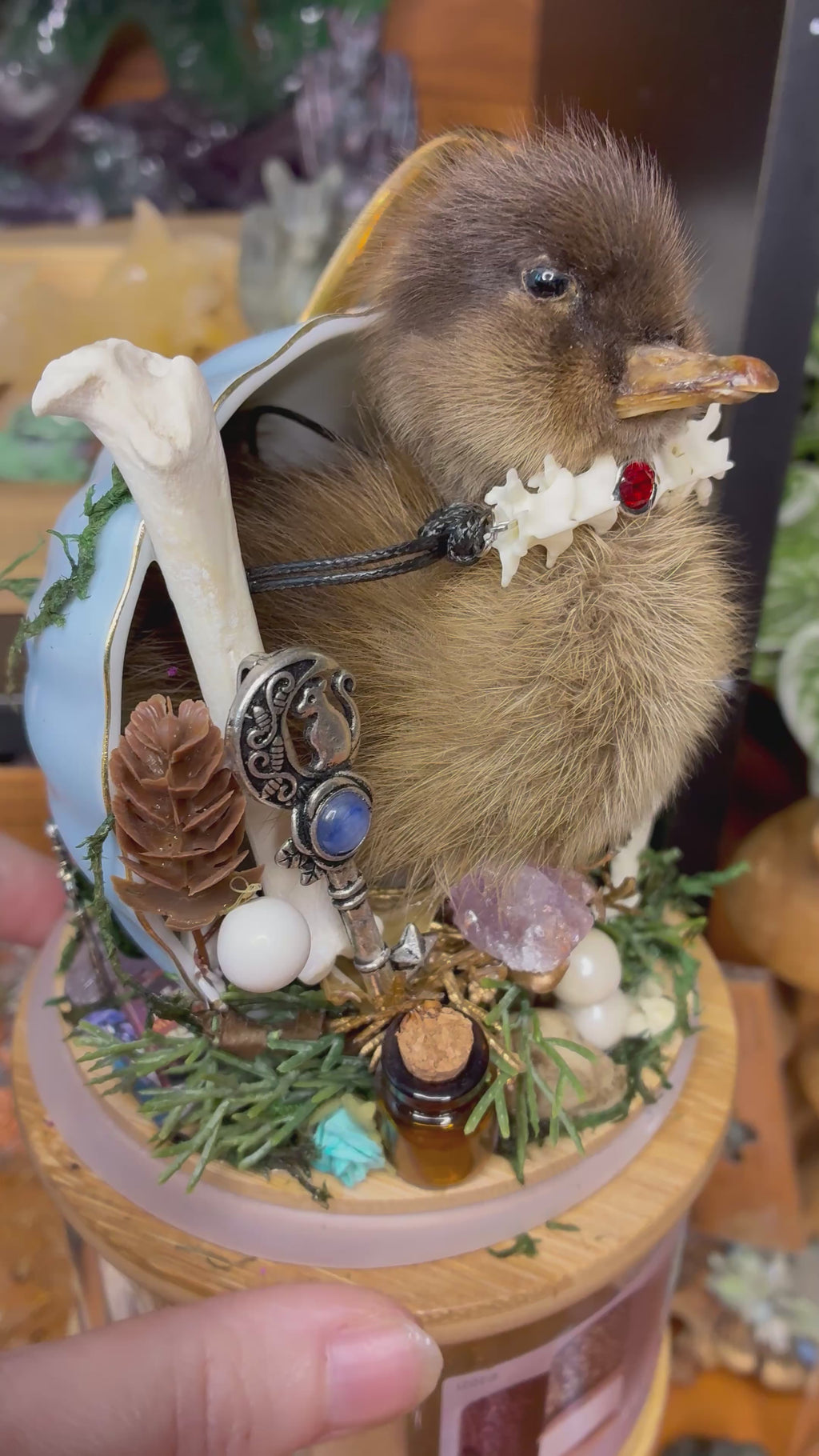 The Forager of Forgotten Things